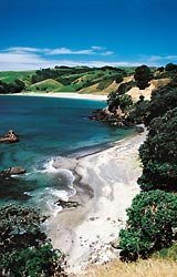 New Zealand beach