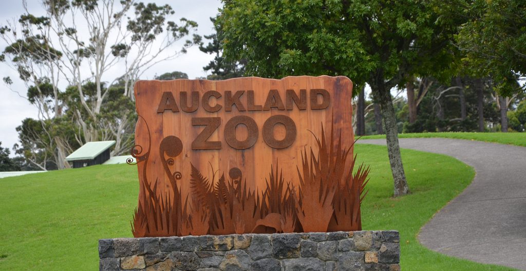 See a Kiwi at the Auckland Zoo - Languages International