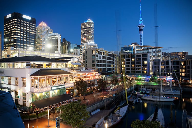 Auckland nightlife viaduct harbour