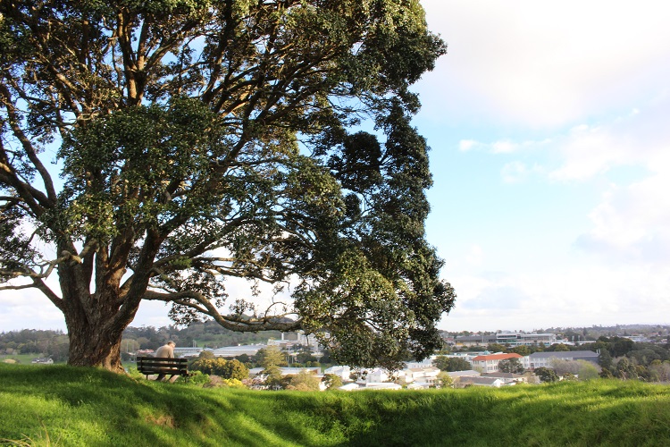 Park in Auckland New Zealand