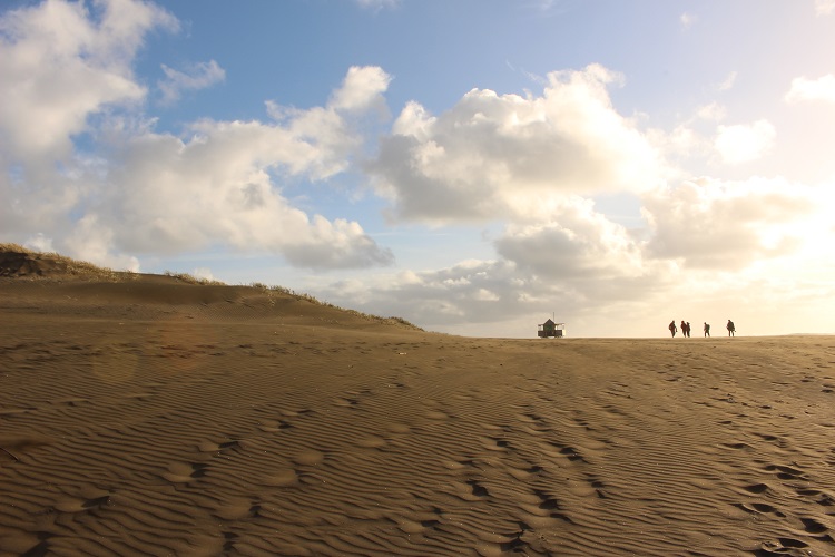 Bethells Beach Auckland New Zealand